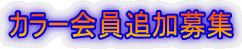 �J���[����ǉ���W