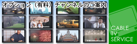 ケーブルテレビサービス