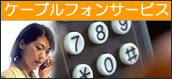 IP電話サービス