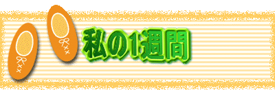 ����1�T�� 