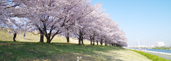 医療費の助成