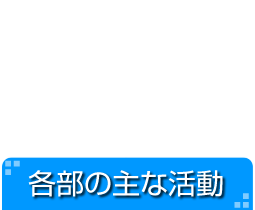 各部の主な活動